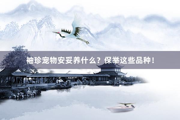 袖珍宠物安妥养什么?保举这些品种!