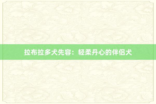 拉布拉多犬先容：轻柔丹心的伴侣犬